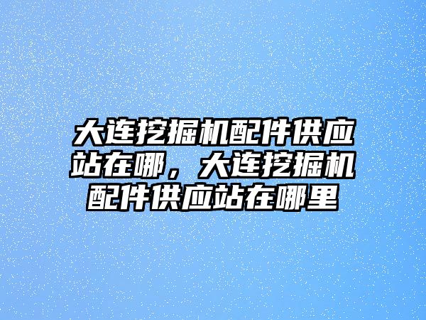 大連挖掘機(jī)配件供應(yīng)站在哪，大連挖掘機(jī)配件供應(yīng)站在哪里