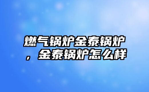 燃?xì)忮仩t金泰鍋爐，金泰鍋爐怎么樣