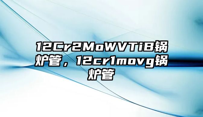 12Cr2MoWVTiB鍋爐管，12cr1movg鍋爐管