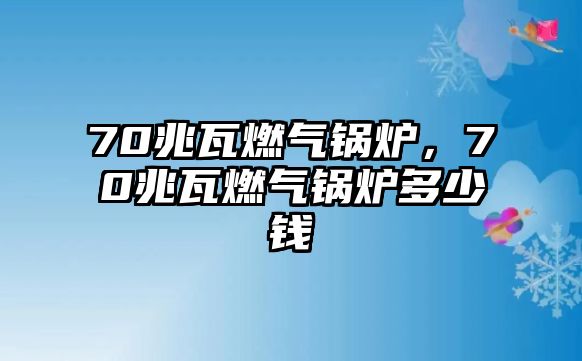 70兆瓦燃?xì)忮仩t，70兆瓦燃?xì)忮仩t多少錢