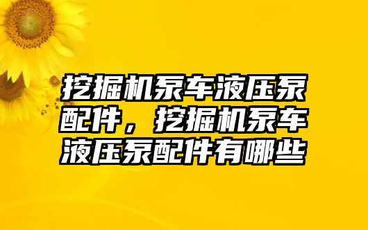 挖掘機(jī)泵車液壓泵配件，挖掘機(jī)泵車液壓泵配件有哪些