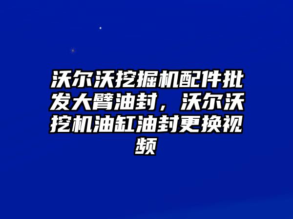 沃爾沃挖掘機(jī)配件批發(fā)大臂油封，沃爾沃挖機(jī)油缸油封更換視頻