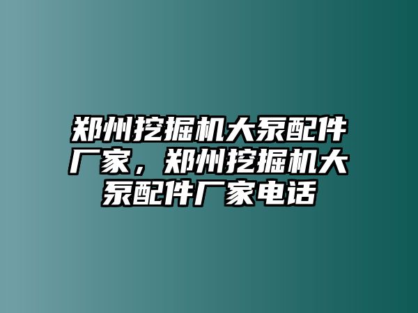 鄭州挖掘機(jī)大泵配件廠家，鄭州挖掘機(jī)大泵配件廠家電話