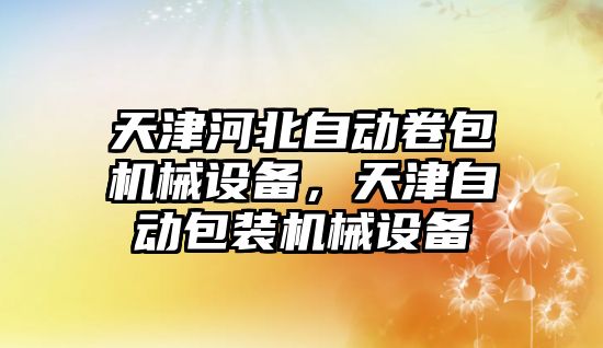 天津河北自動卷包機(jī)械設(shè)備，天津自動包裝機(jī)械設(shè)備