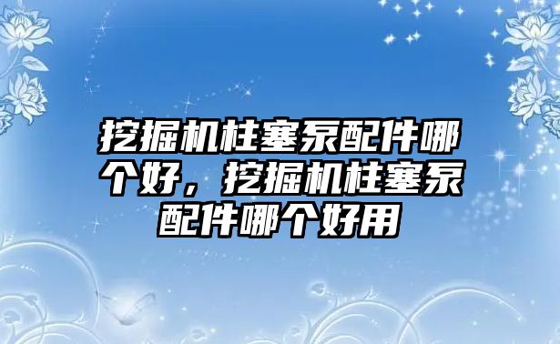 挖掘機柱塞泵配件哪個好，挖掘機柱塞泵配件哪個好用