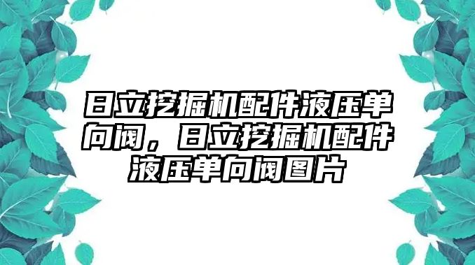 日立挖掘機(jī)配件液壓單向閥，日立挖掘機(jī)配件液壓單向閥圖片