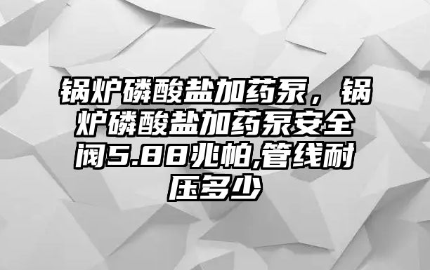 鍋爐磷酸鹽加藥泵，鍋爐磷酸鹽加藥泵安全閥5.88兆帕,管線耐壓多少