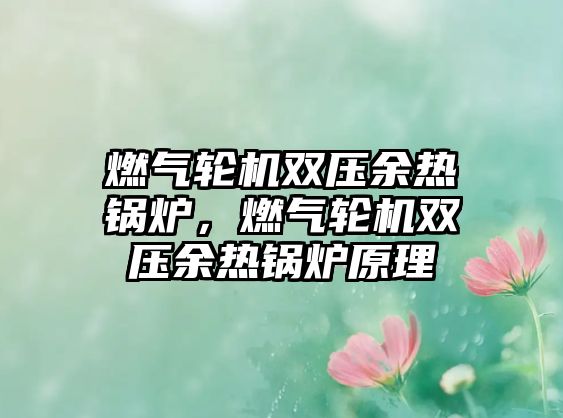 燃?xì)廨啓C(jī)雙壓余熱鍋爐，燃?xì)廨啓C(jī)雙壓余熱鍋爐原理