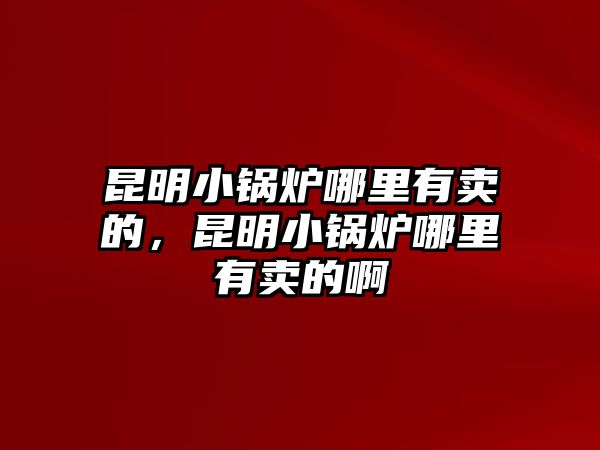 昆明小鍋爐哪里有賣的，昆明小鍋爐哪里有賣的啊