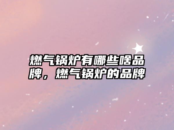 燃?xì)忮仩t有哪些啥品牌，燃?xì)忮仩t的品牌