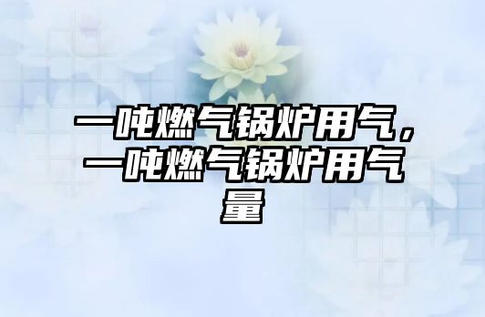 一噸燃?xì)忮仩t用氣，一噸燃?xì)忮仩t用氣量