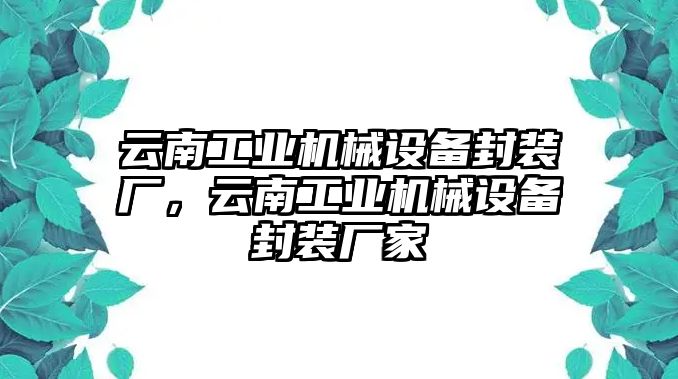 云南工業(yè)機(jī)械設(shè)備封裝廠，云南工業(yè)機(jī)械設(shè)備封裝廠家