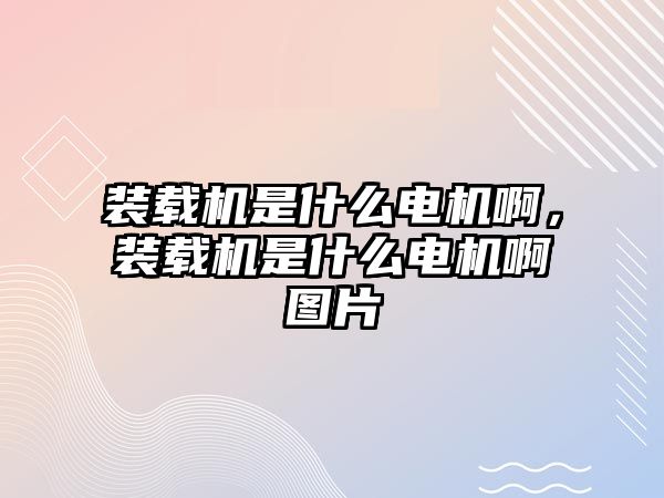 裝載機是什么電機啊，裝載機是什么電機啊圖片