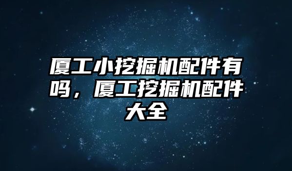 廈工小挖掘機(jī)配件有嗎，廈工挖掘機(jī)配件大全