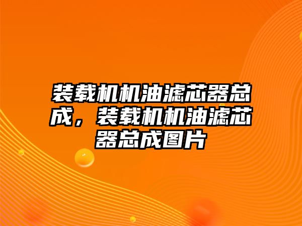 裝載機(jī)機(jī)油濾芯器總成，裝載機(jī)機(jī)油濾芯器總成圖片