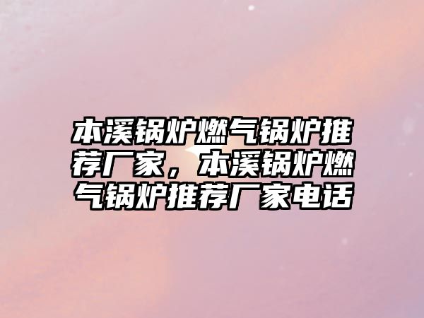 本溪鍋爐燃?xì)忮仩t推薦廠家，本溪鍋爐燃?xì)忮仩t推薦廠家電話