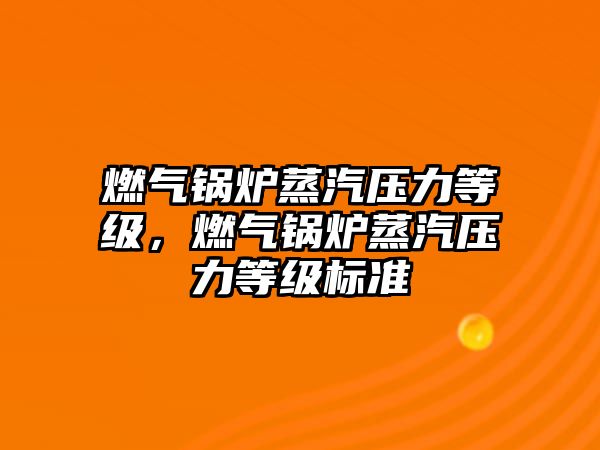 燃?xì)忮仩t蒸汽壓力等級(jí)，燃?xì)忮仩t蒸汽壓力等級(jí)標(biāo)準(zhǔn)