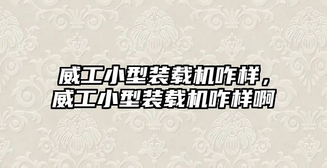 威工小型裝載機咋樣，威工小型裝載機咋樣啊