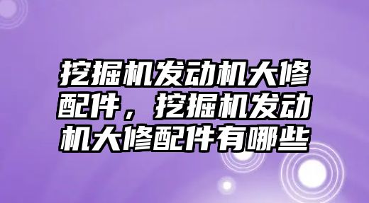 挖掘機發(fā)動機大修配件，挖掘機發(fā)動機大修配件有哪些