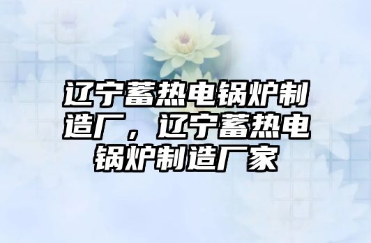 遼寧蓄熱電鍋爐制造廠，遼寧蓄熱電鍋爐制造廠家