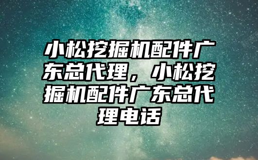 小松挖掘機配件廣東總代理，小松挖掘機配件廣東總代理電話