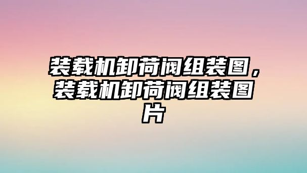 裝載機卸荷閥組裝圖，裝載機卸荷閥組裝圖片