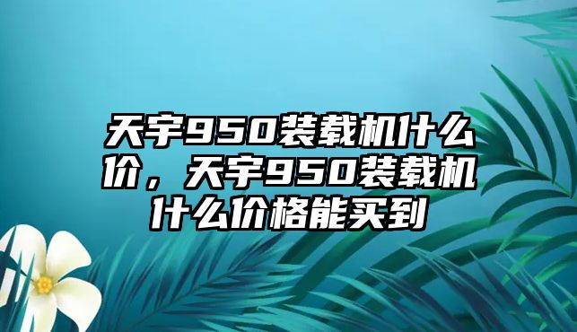 天宇950裝載機(jī)什么價(jià)，天宇950裝載機(jī)什么價(jià)格能買(mǎi)到