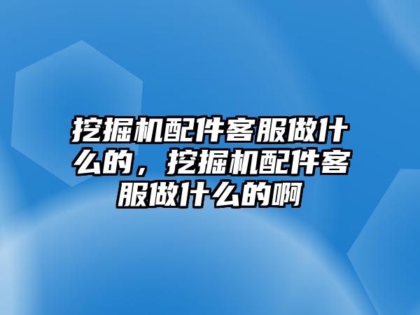 挖掘機配件客服做什么的，挖掘機配件客服做什么的啊