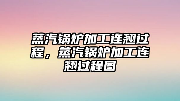 蒸汽鍋爐加工連翹過程，蒸汽鍋爐加工連翹過程圖