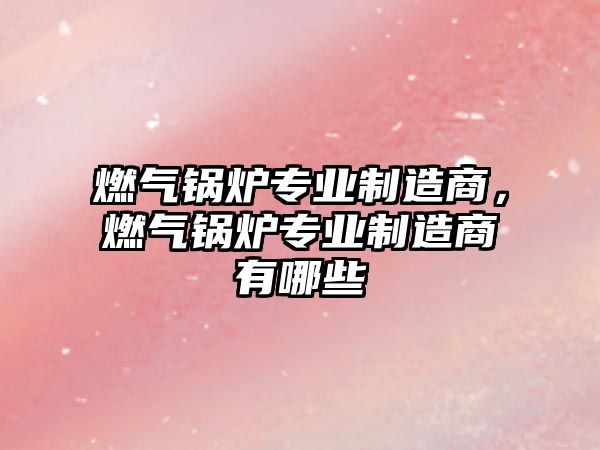 燃氣鍋爐專業(yè)制造商，燃氣鍋爐專業(yè)制造商有哪些