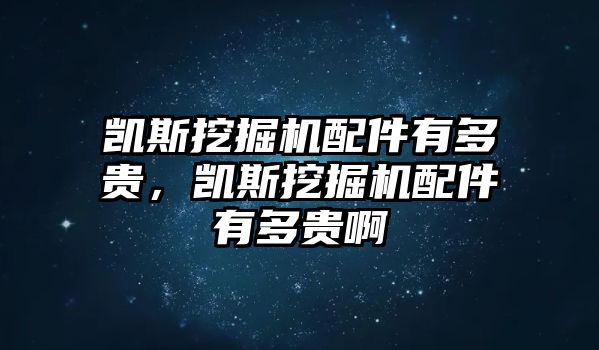 凱斯挖掘機(jī)配件有多貴，凱斯挖掘機(jī)配件有多貴啊