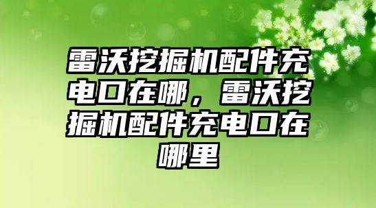 雷沃挖掘機(jī)配件充電口在哪，雷沃挖掘機(jī)配件充電口在哪里