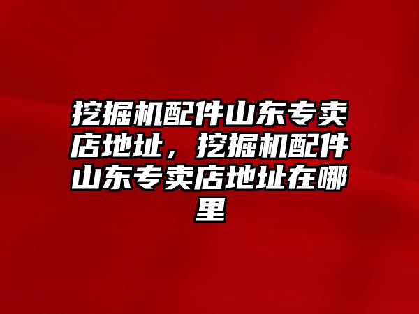 挖掘機配件山東專賣店地址，挖掘機配件山東專賣店地址在哪里