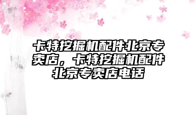 卡特挖掘機配件北京專賣店，卡特挖掘機配件北京專賣店電話