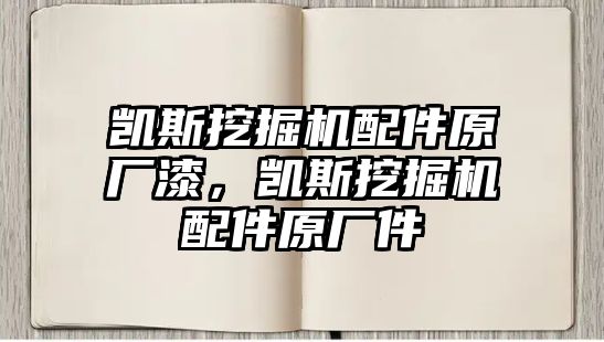 凱斯挖掘機(jī)配件原廠漆，凱斯挖掘機(jī)配件原廠件