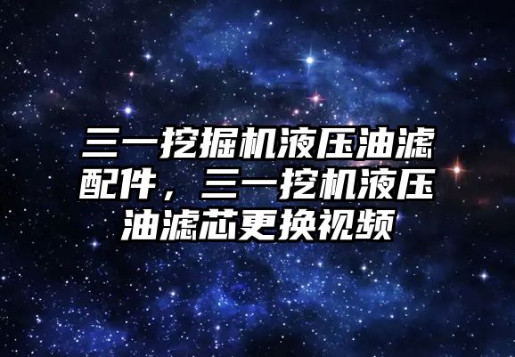 三一挖掘機(jī)液壓油濾配件，三一挖機(jī)液壓油濾芯更換視頻