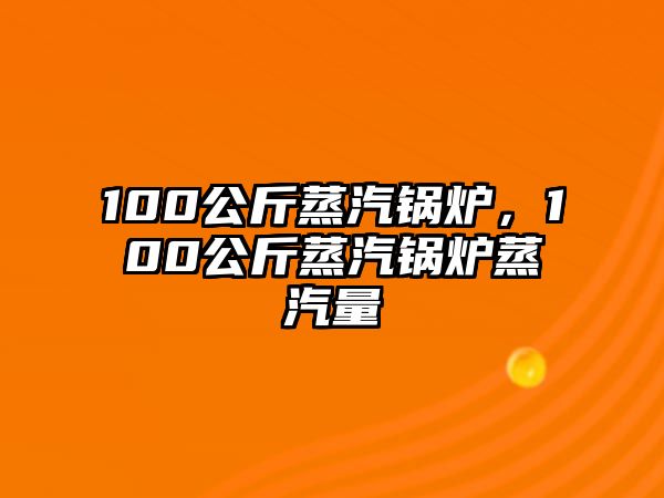 100公斤蒸汽鍋爐，100公斤蒸汽鍋爐蒸汽量