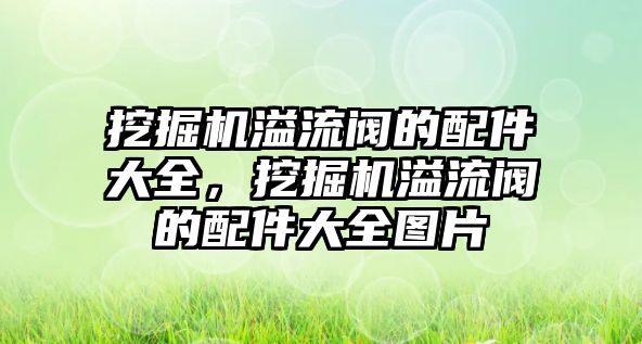 挖掘機溢流閥的配件大全，挖掘機溢流閥的配件大全圖片