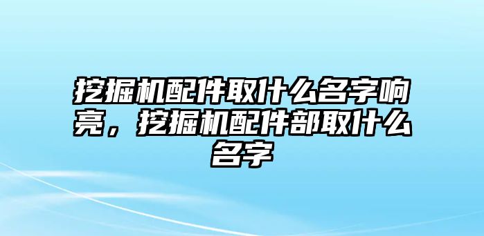 挖掘機(jī)配件取什么名字響亮，挖掘機(jī)配件部取什么名字