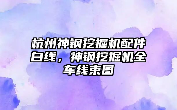 杭州神鋼挖掘機配件白線，神鋼挖掘機全車線束圖