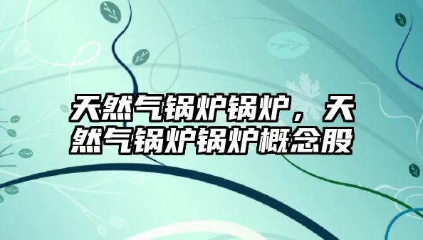 天然氣鍋爐鍋爐，天然氣鍋爐鍋爐概念股