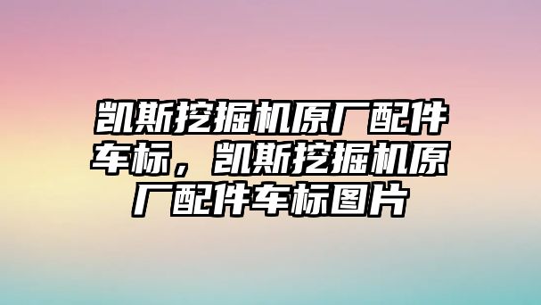 凱斯挖掘機(jī)原廠配件車標(biāo)，凱斯挖掘機(jī)原廠配件車標(biāo)圖片