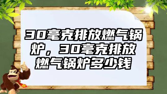 30毫克排放燃?xì)忮仩t，30毫克排放燃?xì)忮仩t多少錢