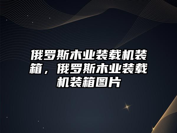 俄羅斯木業(yè)裝載機裝箱，俄羅斯木業(yè)裝載機裝箱圖片