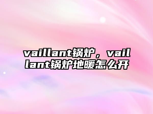 vaillant鍋爐，vaillant鍋爐地暖怎么開