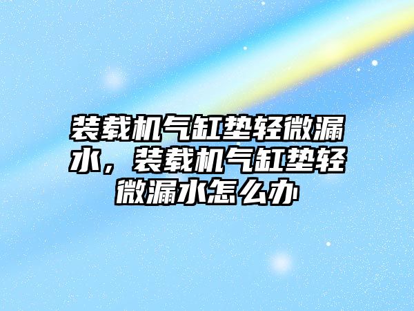 裝載機氣缸墊輕微漏水，裝載機氣缸墊輕微漏水怎么辦