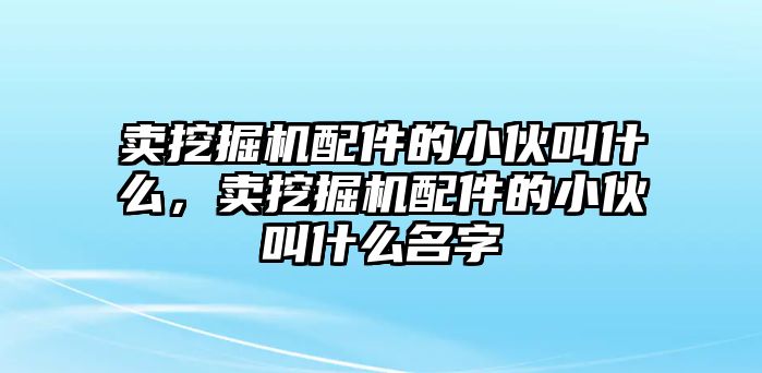 賣挖掘機配件的小伙叫什么，賣挖掘機配件的小伙叫什么名字