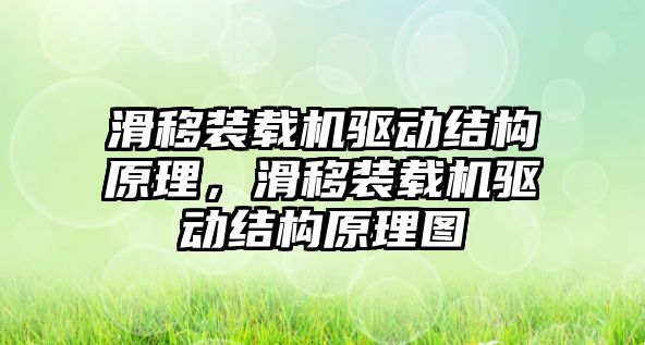 滑移裝載機驅(qū)動結(jié)構(gòu)原理，滑移裝載機驅(qū)動結(jié)構(gòu)原理圖