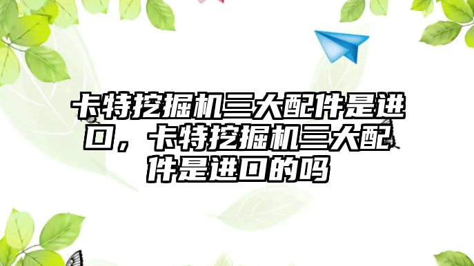 卡特挖掘機三大配件是進口，卡特挖掘機三大配件是進口的嗎