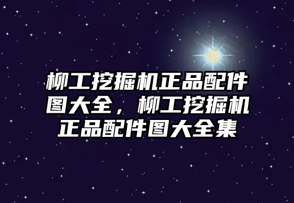 柳工挖掘機(jī)正品配件圖大全，柳工挖掘機(jī)正品配件圖大全集